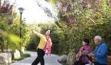 打造森林城市 共建生态文明