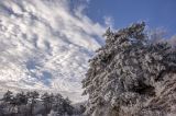 安徽霍山雪景如画