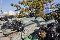 北京：市属公园植物垃圾利用率同比提高70% 落叶回收变肥料