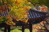 地坛公园秋色正浓