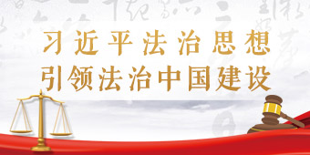 习近平法治思想引领法治中国建设
