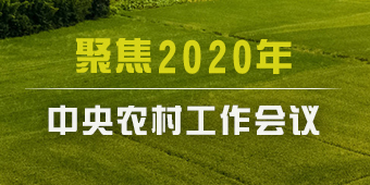 聚焦2020年中央农村工作会议