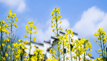 报告| 坚持以文塑旅、以旅彰文，推动文旅融合发展