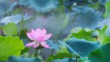 打好党员权利保障“组合拳” 