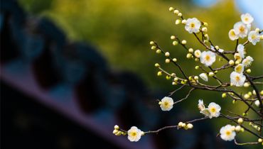 切实增强政治判断力政治领悟力政治执行力