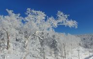 雪乡国家森林公园冬日美景