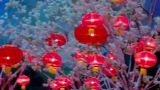 看山看水看中国