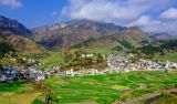 守好脱贫攻坚成果 为乡村振兴铺路奠基