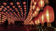 习近平总书记关于党的建设和组织工作重要思想的实践特色