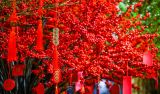 【地评线】京彩好评：神州春来早 奋进正当时
