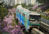 重庆：一路繁花相送 带你驶向春天