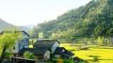 接续奋斗，把乡村振兴蓝图变成现实