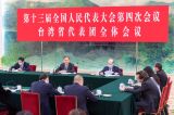 汪洋参加台湾代表团审议