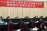 王岐山参加湖南代表团审议