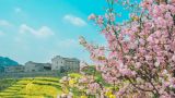 【地评线】京彩好评：向人民交上“三张答卷” 奋勇争先犇新局
