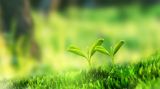 2035年基本实现现代化要求持续增进民生福祉、扎实推动共同富裕
