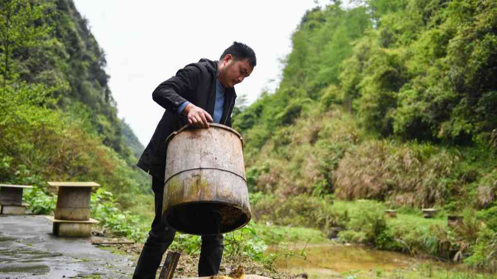 龙先兰“成名”史
