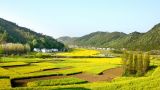 发扬“三牛”精神，奋力谱写新时代乡村振兴新篇章