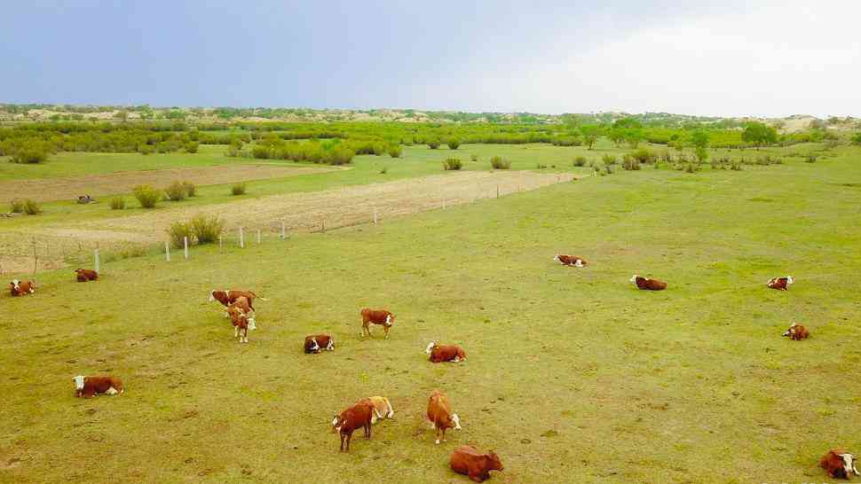 内蒙古:生态富民闯新路 向“绿”而行谱新篇