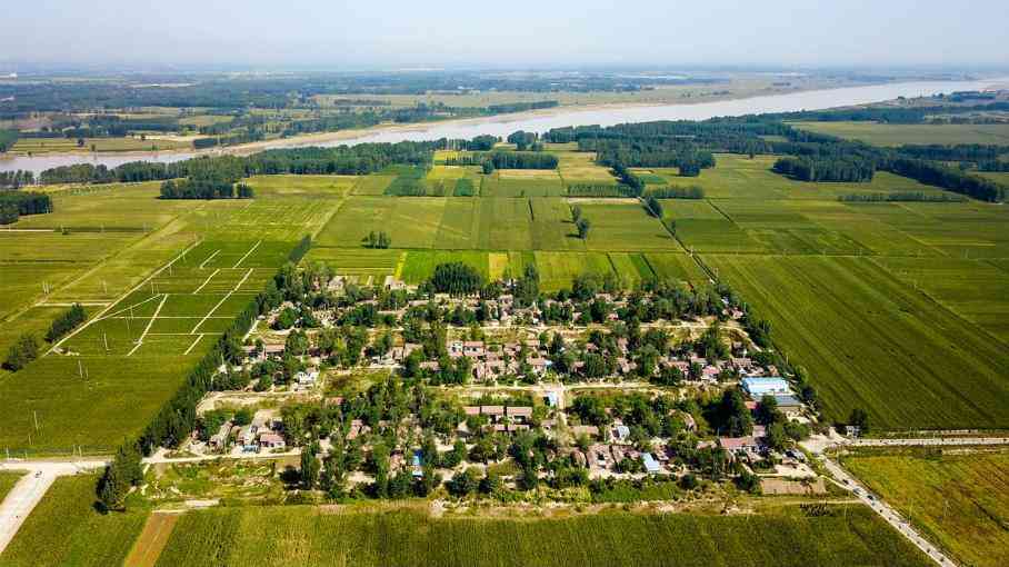 山东:从“一天”看乡村振兴多彩画卷