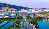 中俄这一重大合作项目，习近平主席高度重视