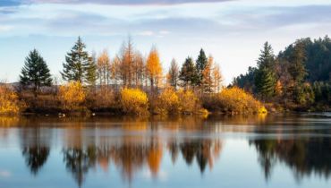 党的中青年干部要发扬斗争精神 增强斗争本领