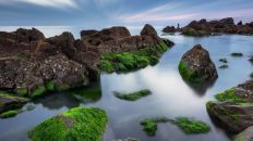 “三问三答”葆久久初心