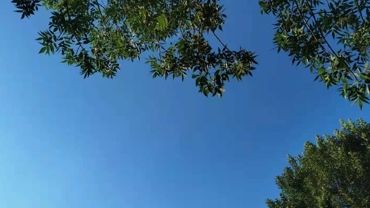 战“疫”里的最美青春——谈中国青年的责任与担当