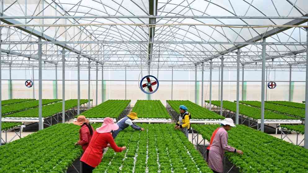 新生活新奮斗的起點(diǎn)——各地鞏固脫貧成果銜接推進(jìn)鄉(xiāng)村振興