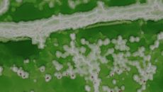 高原盐湖引客来