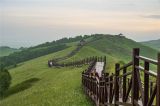 夏日草原风光无限美丽