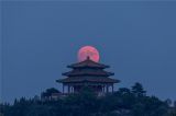 北海公园眺望景山公园万春亭月亮缓缓地升起！景色非常壮观！