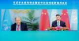 习近平会见联合国秘书长古特雷斯