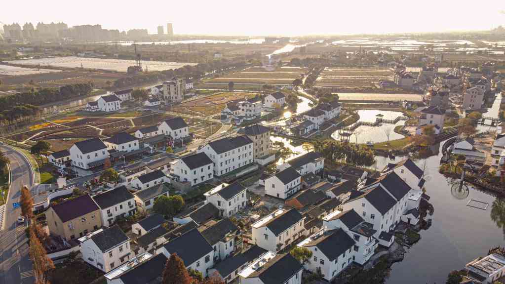 千帆竞发势如虹——习近平总书记谋划推动东部率先发展谱写新篇章