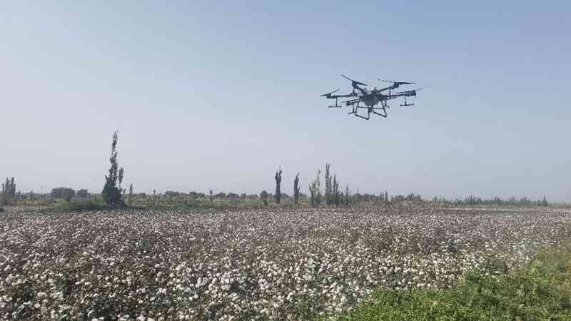 助力鄉(xiāng)村振興,在希望的田野上播種金色未來(lái)