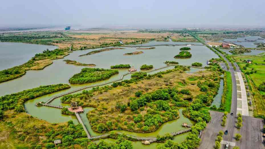 继续奋斗,走好新时代赶考路——写在党的十九届六中全会召开之际