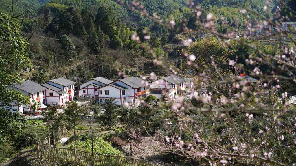 爱党信党 鱼水情深——老区精神述评