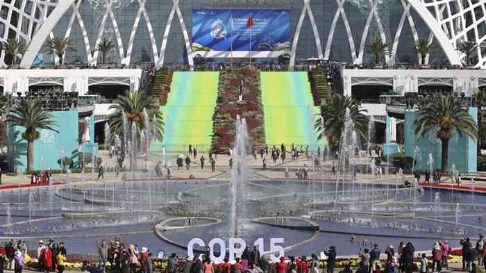 高擎命运与共旗帜 指引共同发展方向