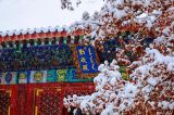 北京下雪了