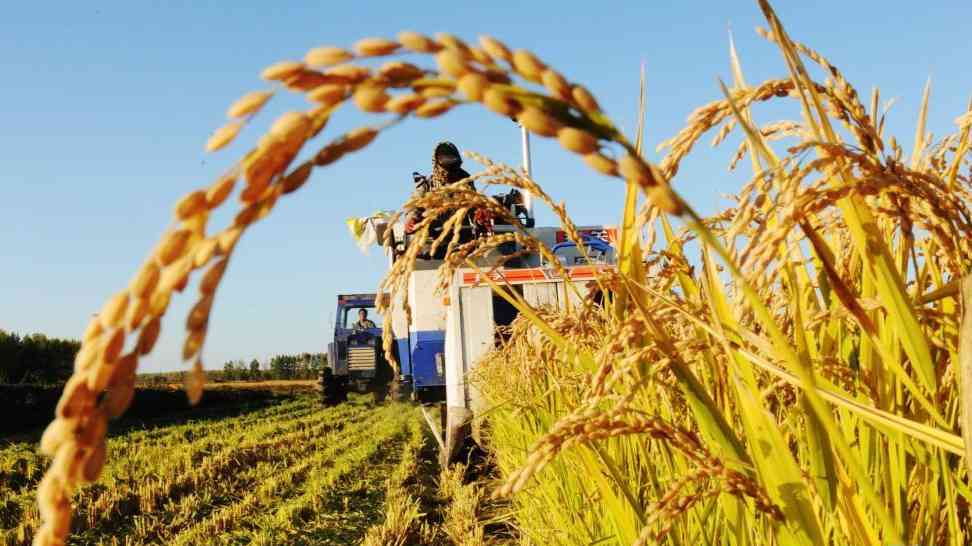 熱血沃黑土——北大荒精神述評
