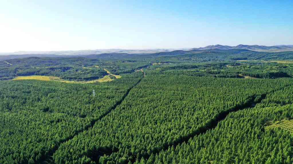 牢记使命 绿色发展——塞罕坝精神述评