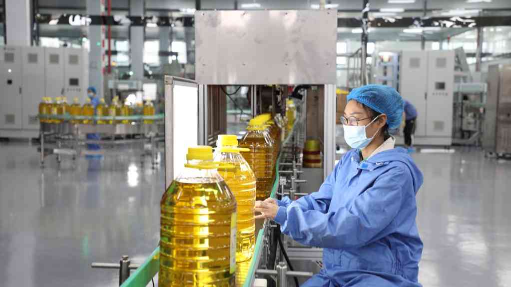 自贸港“样板间”,有看头!