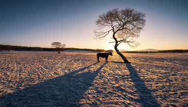 【学习党的十九届六中全会精神】以史为鉴，开创未来