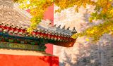 培根铸魂 展示中国文艺新气象