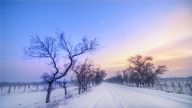 党的十九届六中全会的重要内容