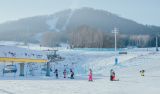 乘冬奥会东风 释放冰雪产业澎湃活力