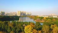 如何学习贯彻习近平总书记“七一”重要讲话精神