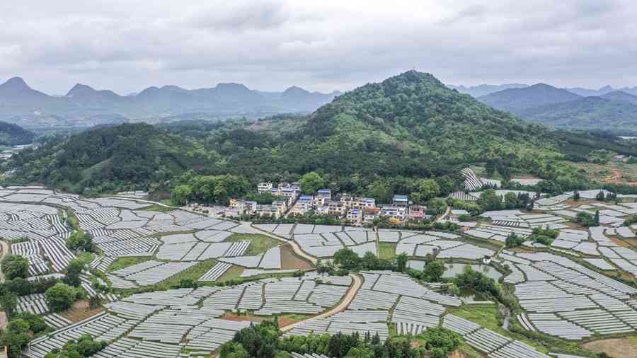 “人民对美好生活的向往,就是我们的奋斗目标”