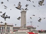 实现中华民族伟大复兴的行动纲领——学习习近平总书记“七一”重要讲话精神