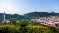 陈树文∣毛泽东的革命生涯：建立革命根据地